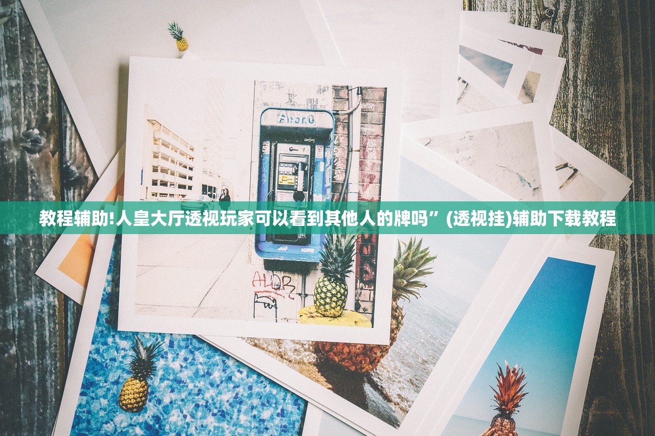 教程辅助!人皇大厅透视玩家可以看到其他人的牌吗”(透视挂)辅助下载教程