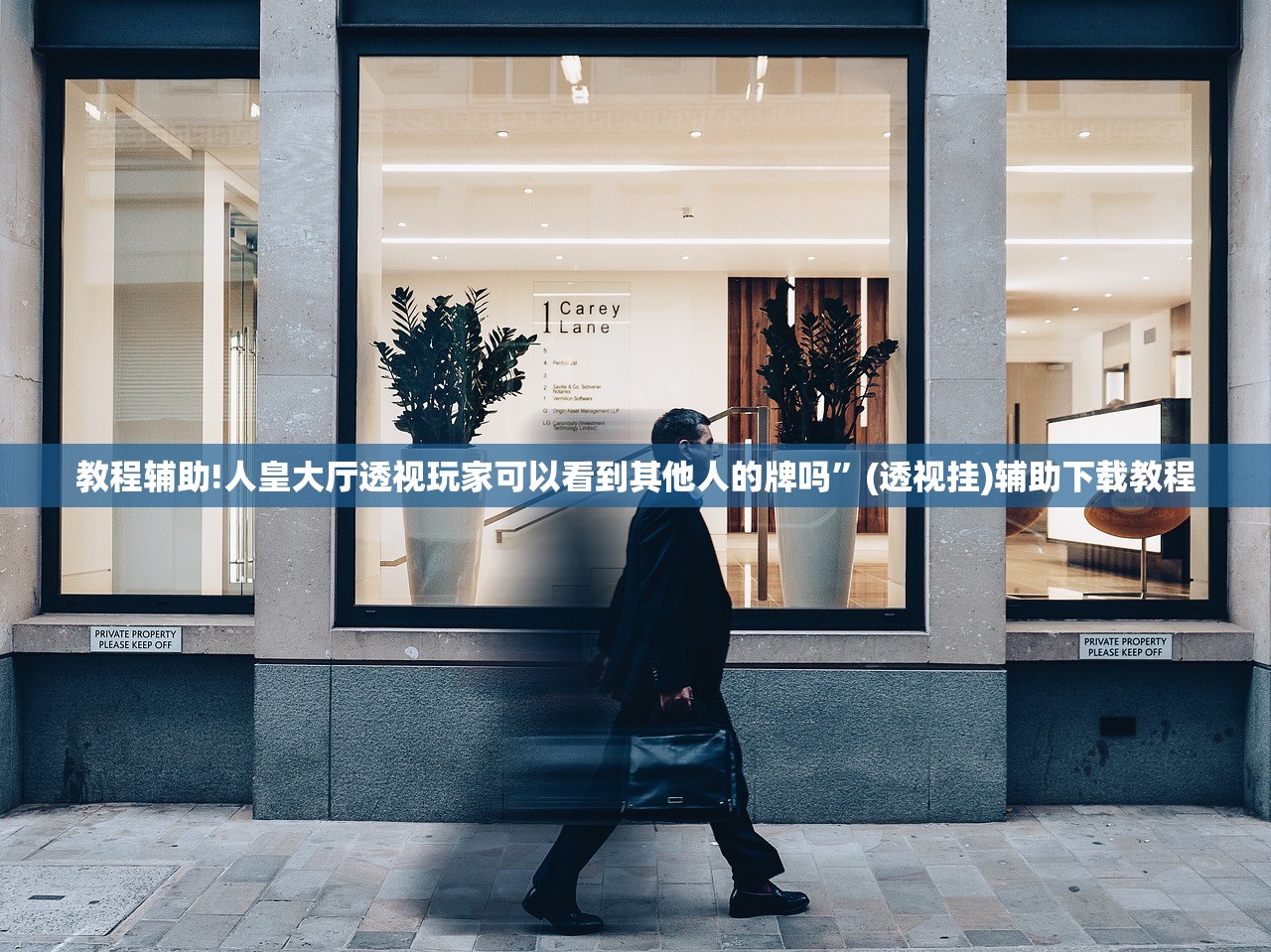 教程辅助!人皇大厅透视玩家可以看到其他人的牌吗	”(透视挂)辅助下载教程