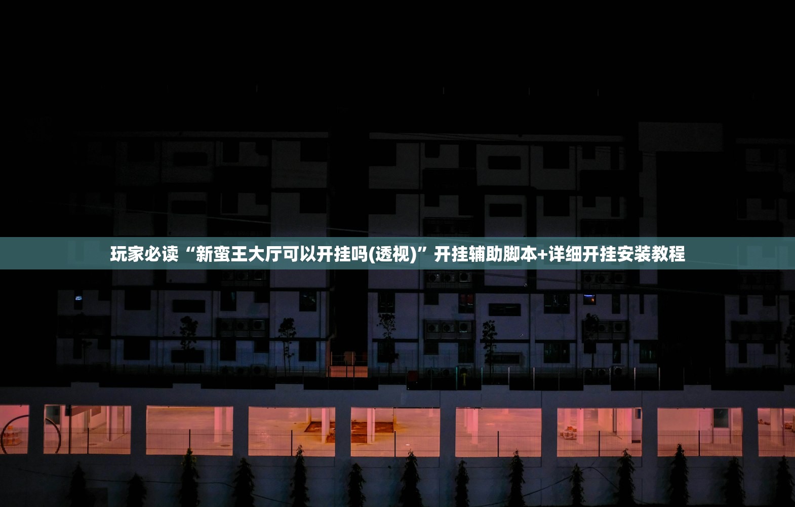 玩家必读“新蛮王大厅可以开挂吗(透视)”开挂辅助脚本+详细开挂安装教程