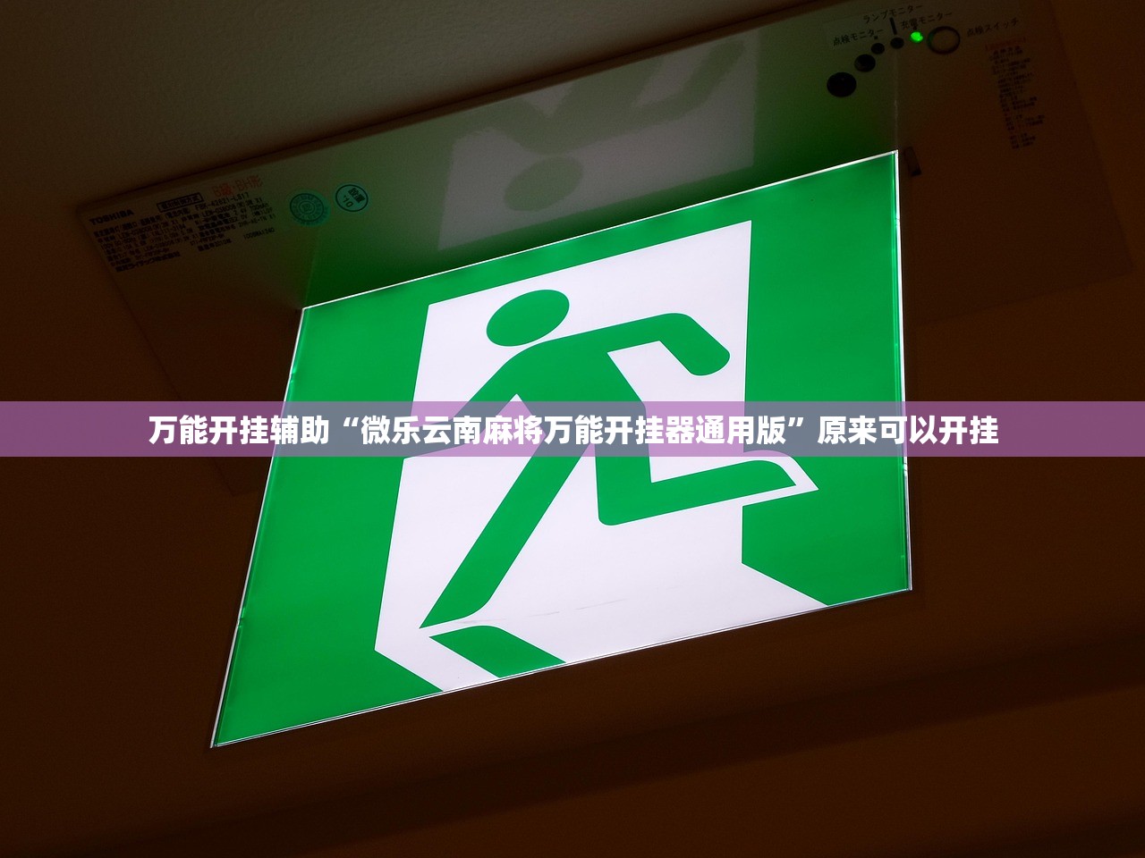 万能开挂辅助“微乐云南麻将万能开挂器通用版”原来可以开挂