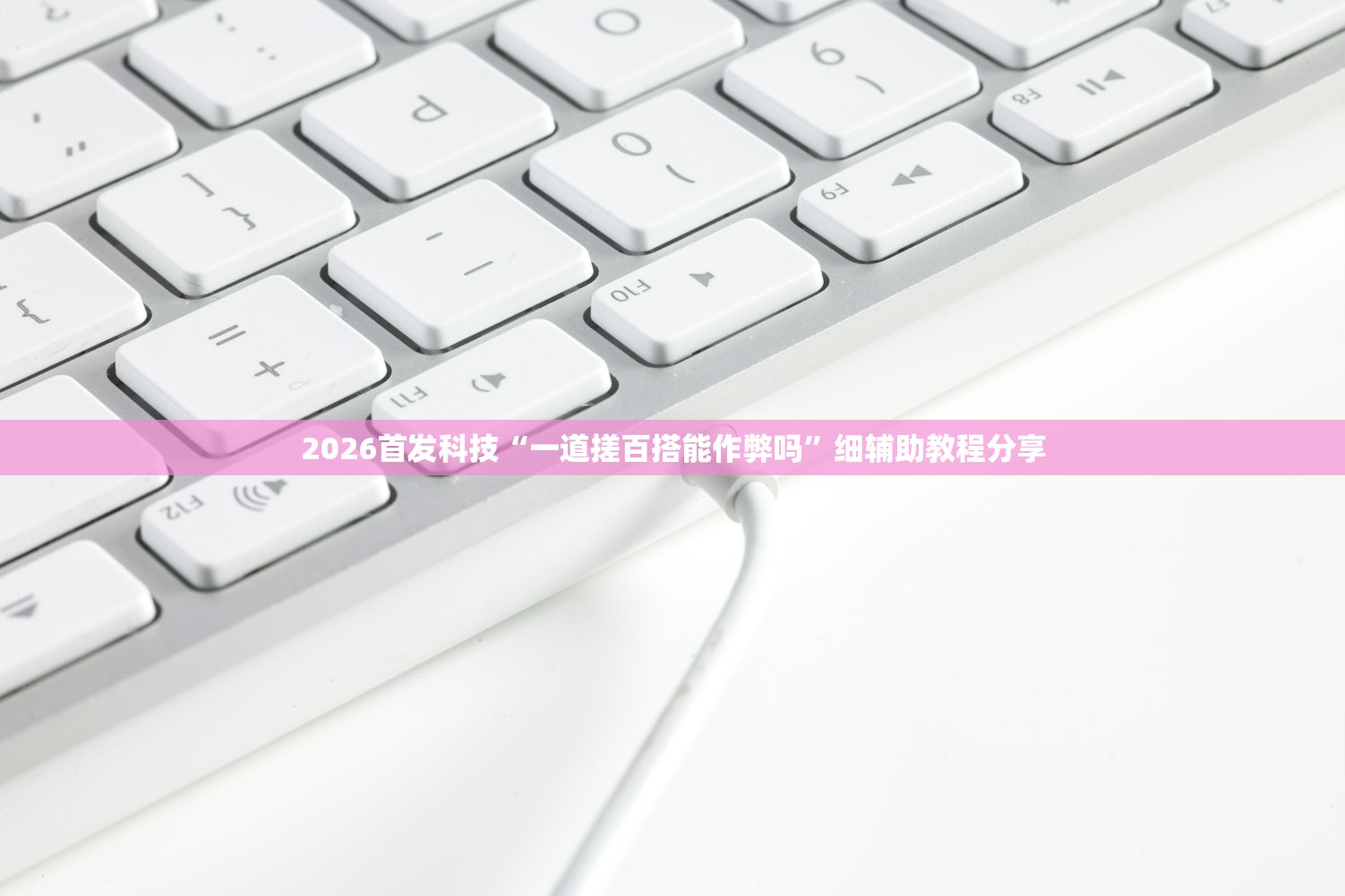 2026首发科技“一道搓百搭能作弊吗”细辅助教程分享