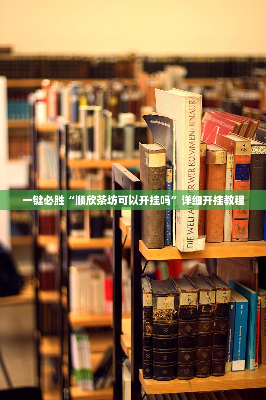 北京市小汽车摇号查询系统（北京市小客车摇号查询结果查询）