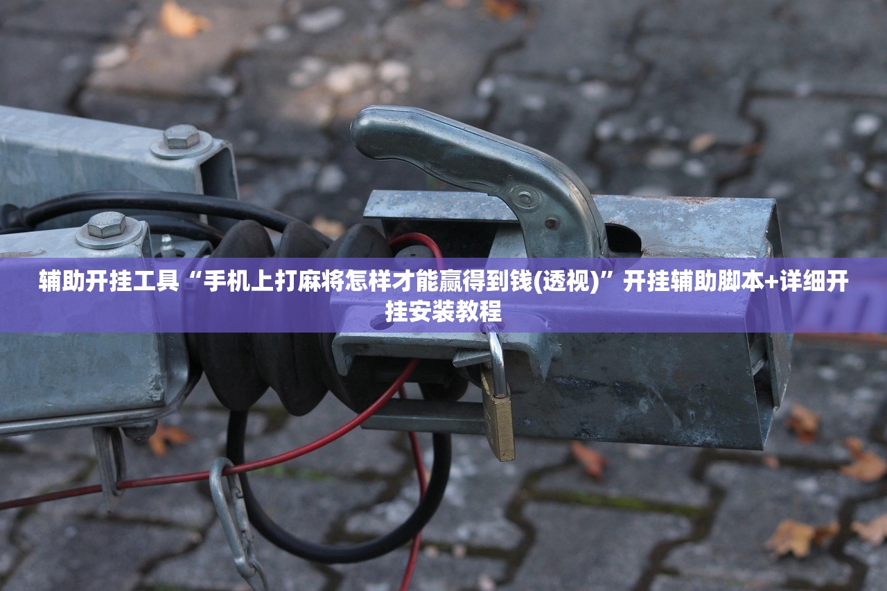 辅助开挂工具“手机上打麻将怎样才能赢得到钱(透视)	”开挂辅助脚本+详细开挂安装教程