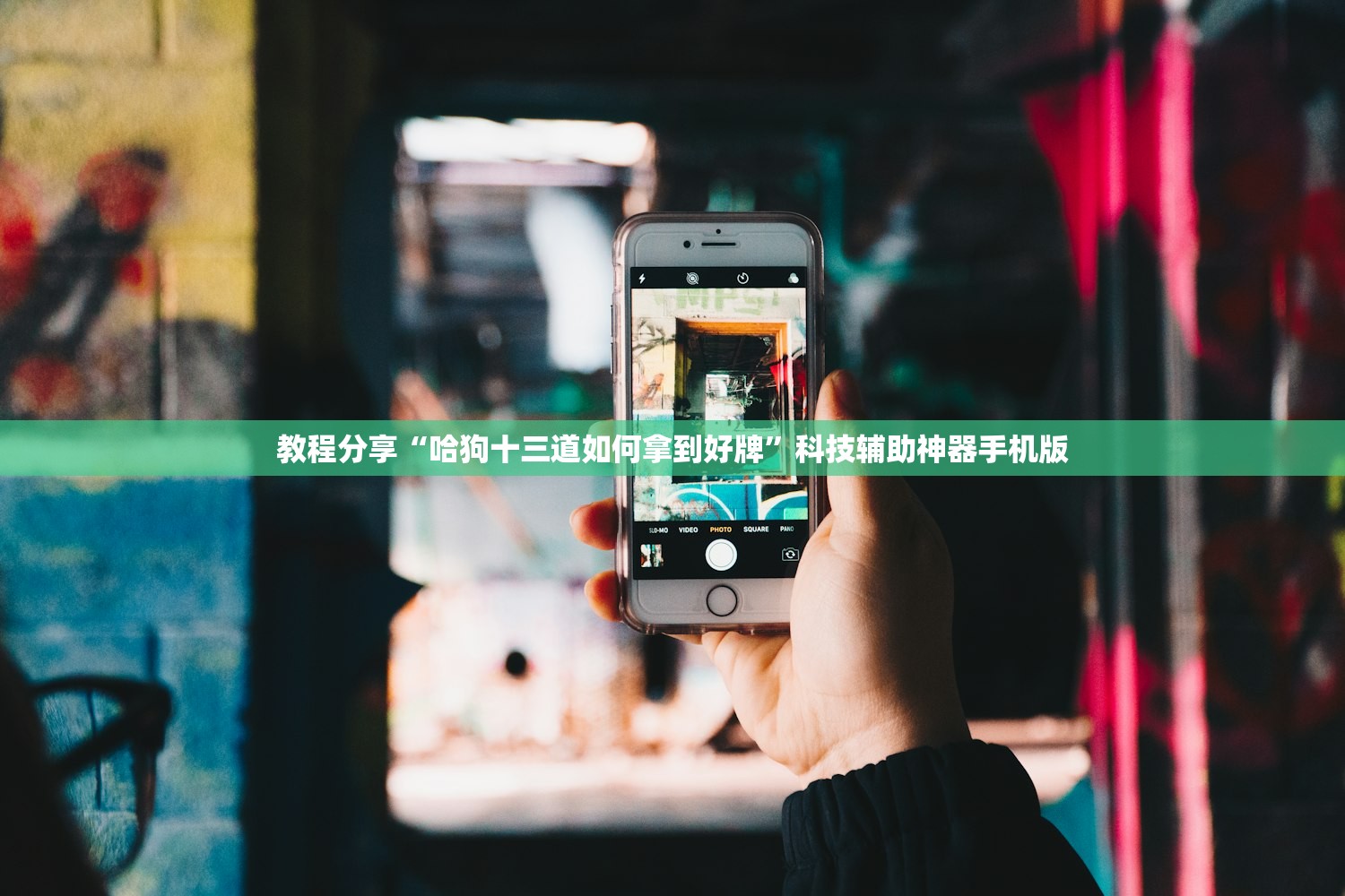 教程分享“哈狗十三道如何拿到好牌”科技辅助神器手机版