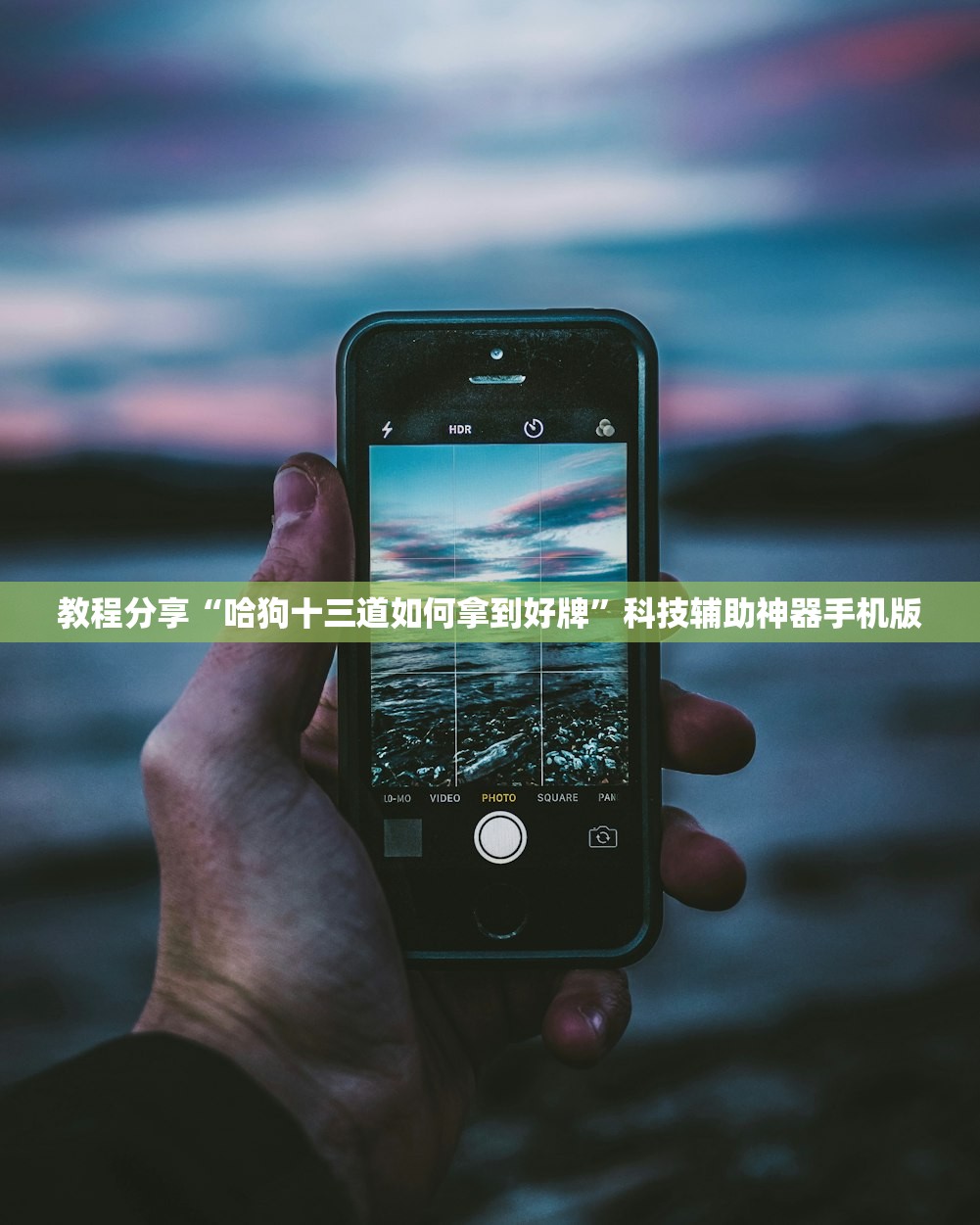 教程分享“哈狗十三道如何拿到好牌”科技辅助神器手机版