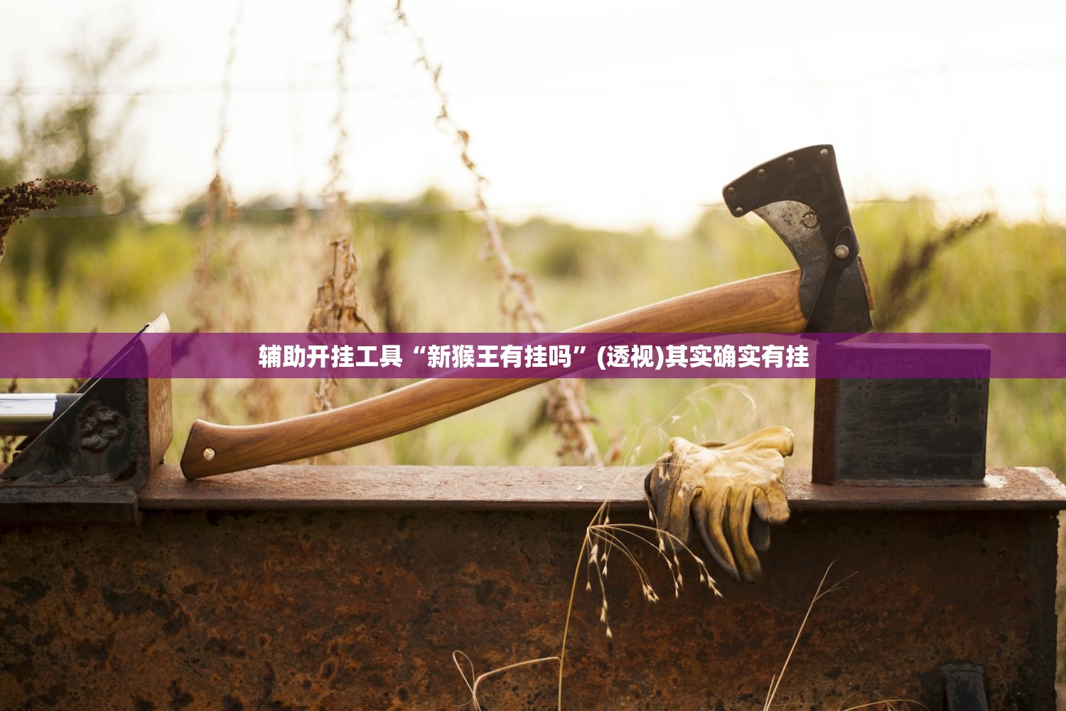 辅助开挂工具“新猴王有挂吗”(透视)其实确实有挂