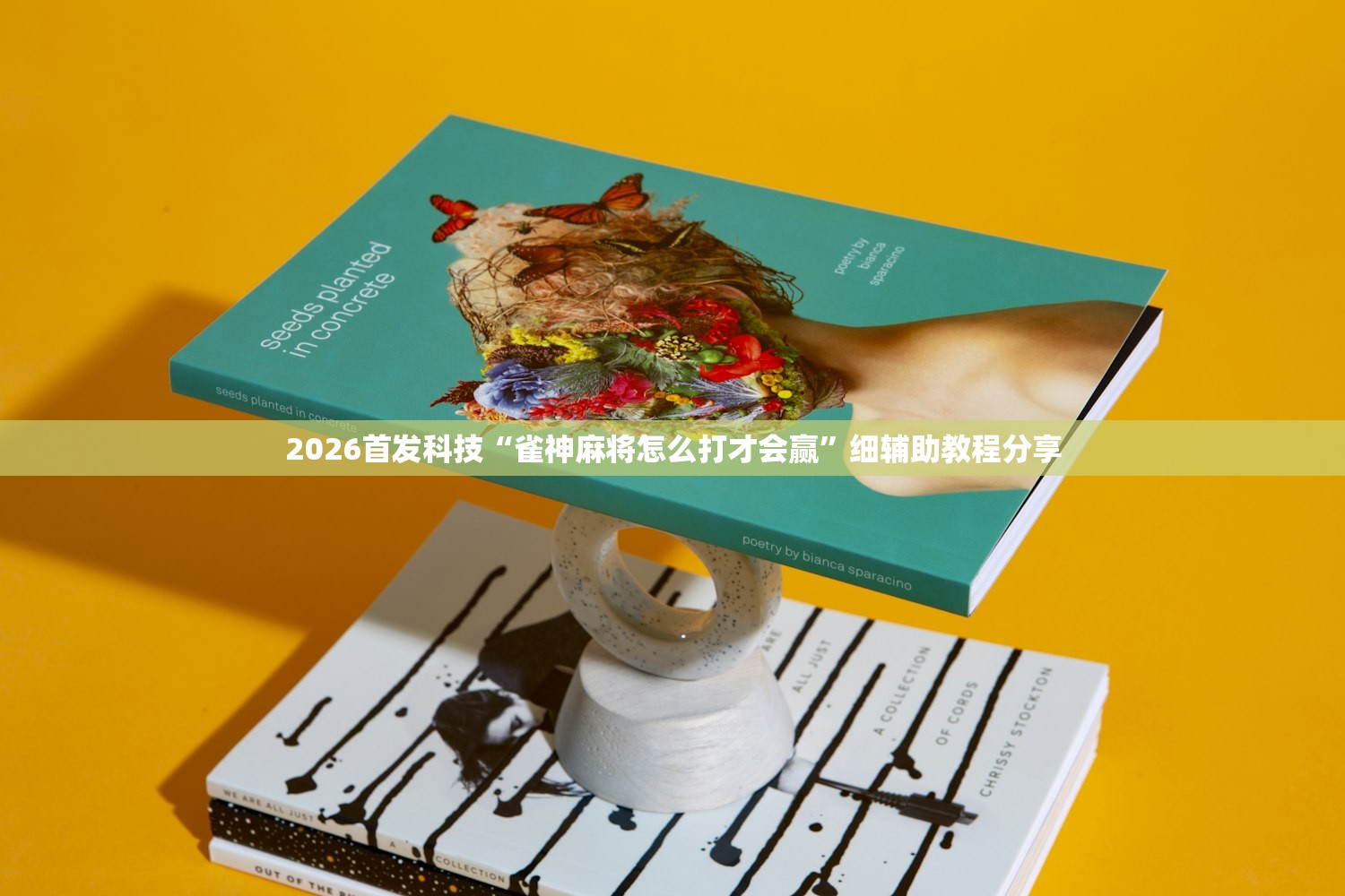辅助神器“天天麻将川南开挂神器下载安装(透视)”开挂辅助脚本+详细开挂安装教程