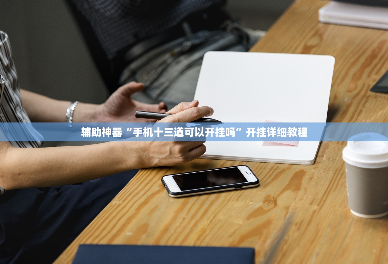 辅助神器“手机十三道可以开挂吗”开挂详细教程