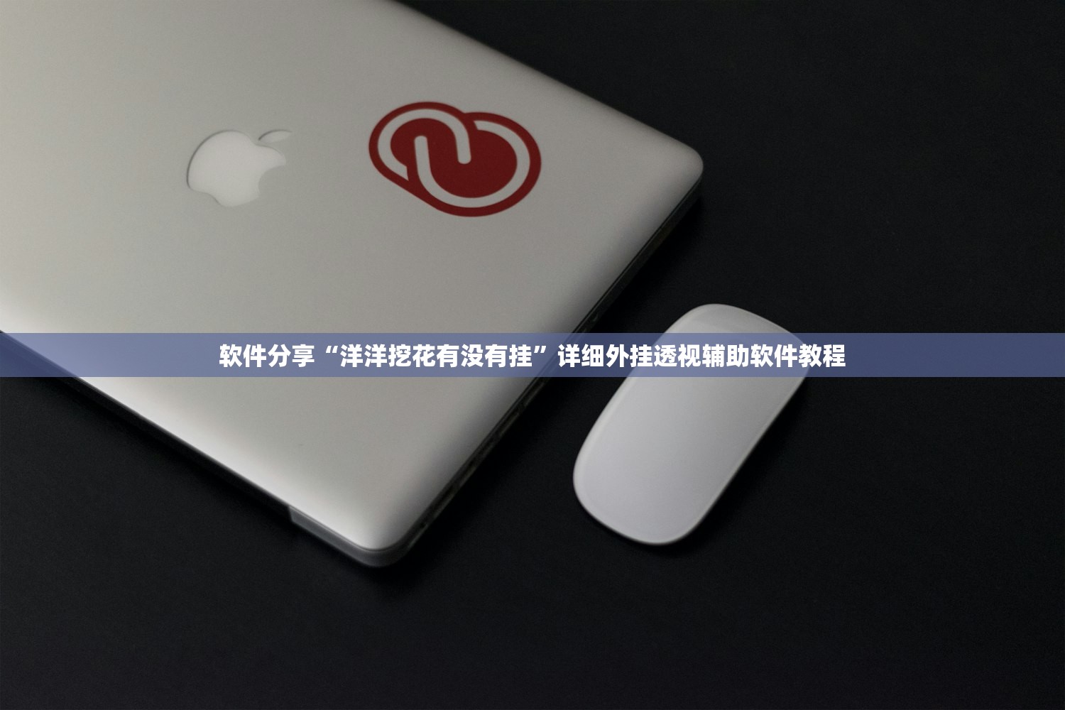 铃木都有什么车型（铃木轿车都有哪些）