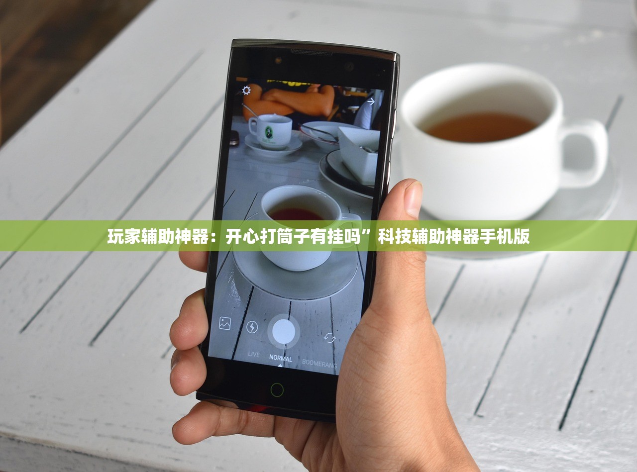 玩家辅助神器：开心打筒子有挂吗”科技辅助神器手机版