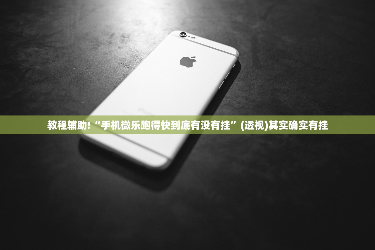 教程辅助!“手机微乐跑得快到底有没有挂”(透视)其实确实有挂