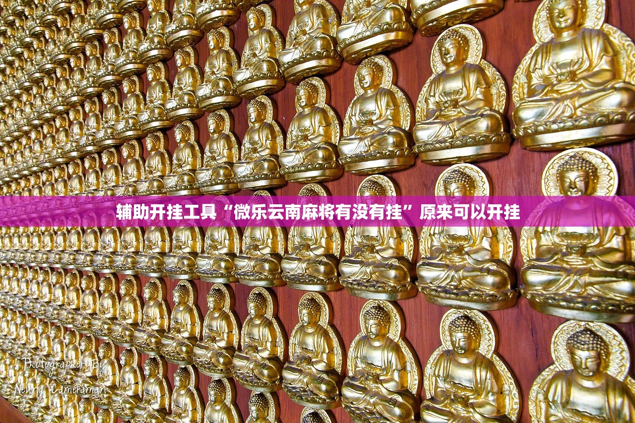 教程更新!：微乐河北麻将有挂吗”开挂辅助脚本+详细开挂安装教程