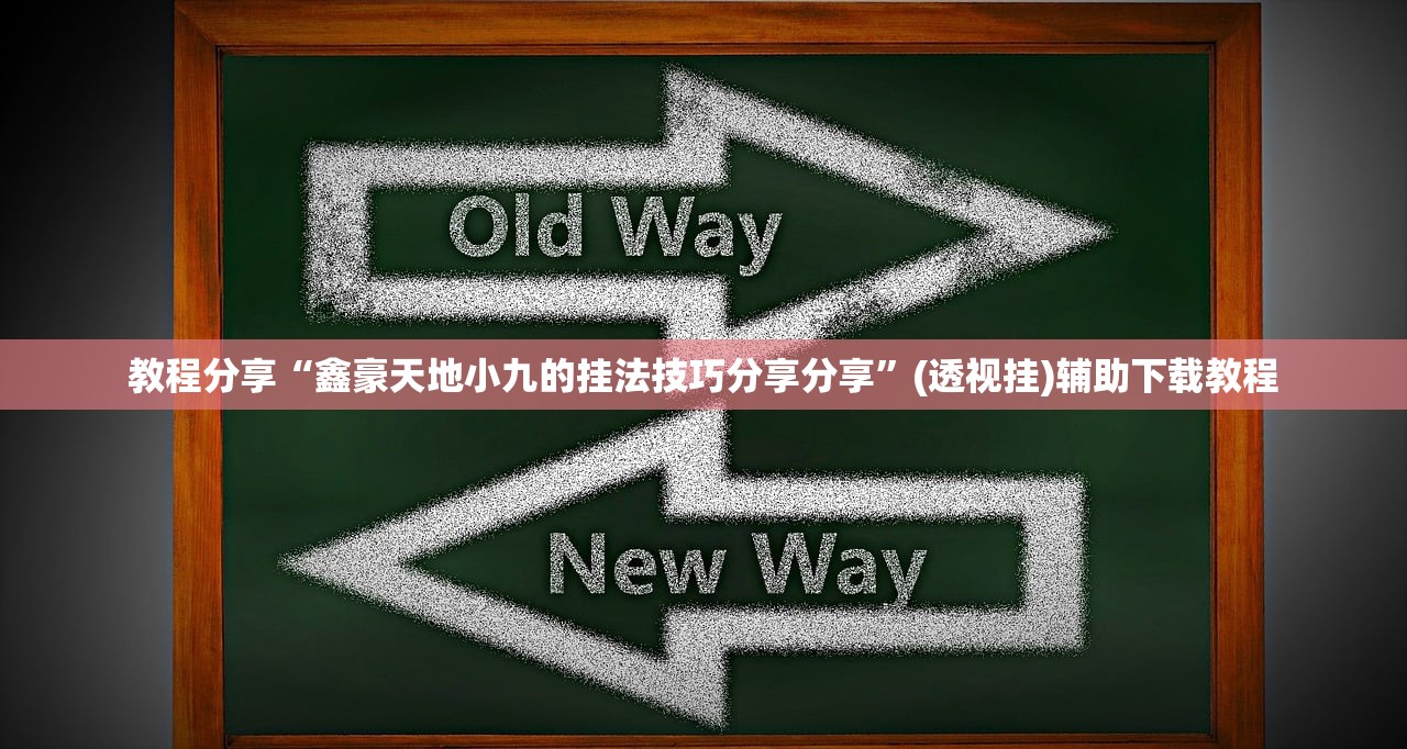 教程分享“鑫豪天地小九的挂法技巧分享分享”(透视挂)辅助下载教程