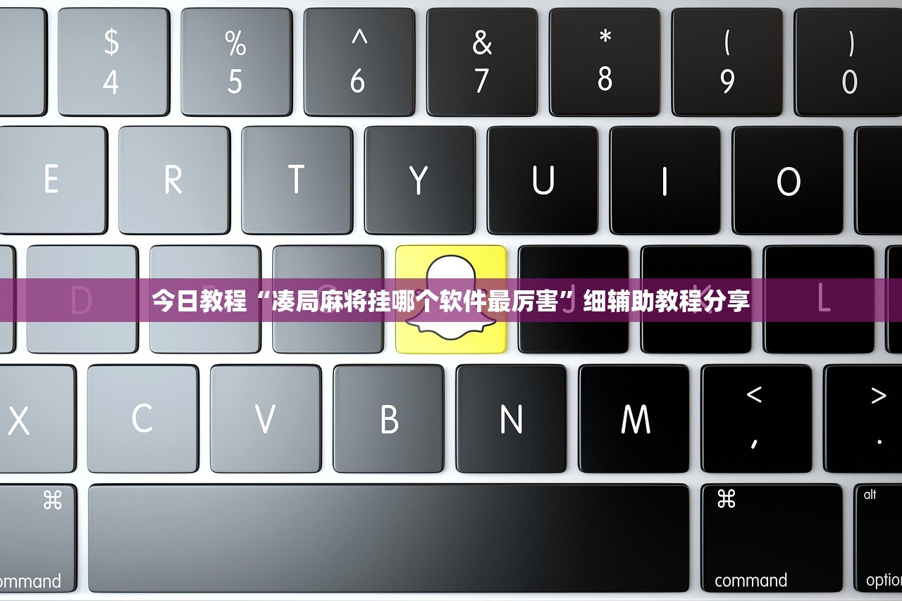 今日教程“凑局麻将挂哪个软件最厉害”细辅助教程分享