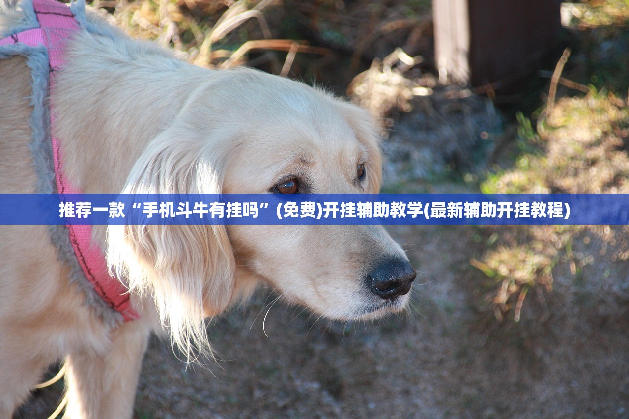 31省区市新增78例无症状感染者:31省区市新增无症状感染37例