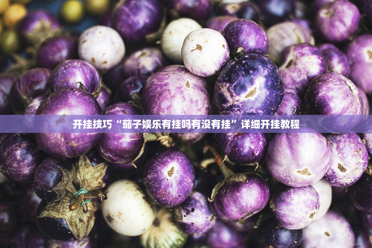 强力推荐“福建天天开心辅助”(辅助神器)开挂详细教程