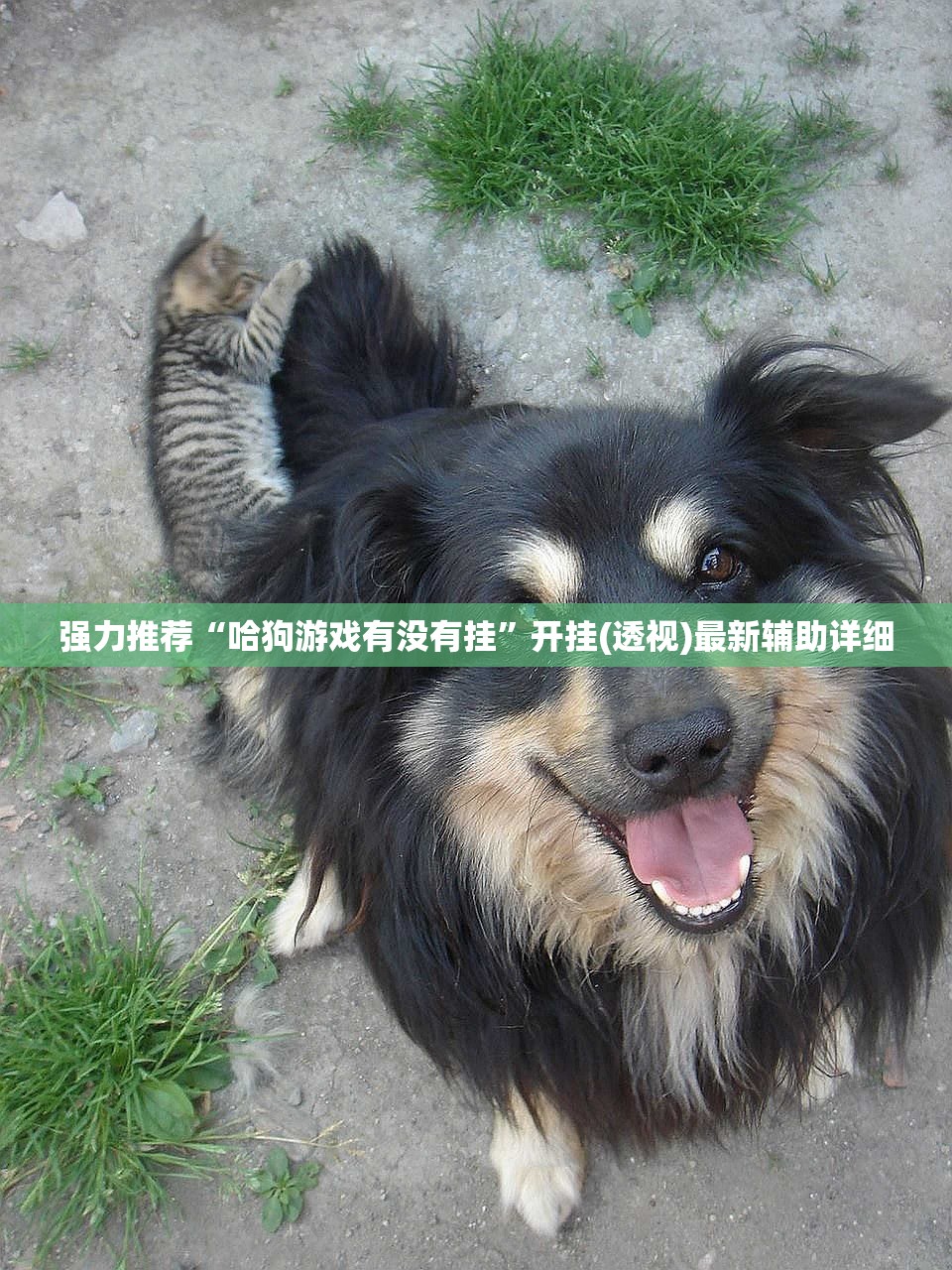 强力推荐“哈狗游戏有没有挂”开挂(透视)最新辅助详细