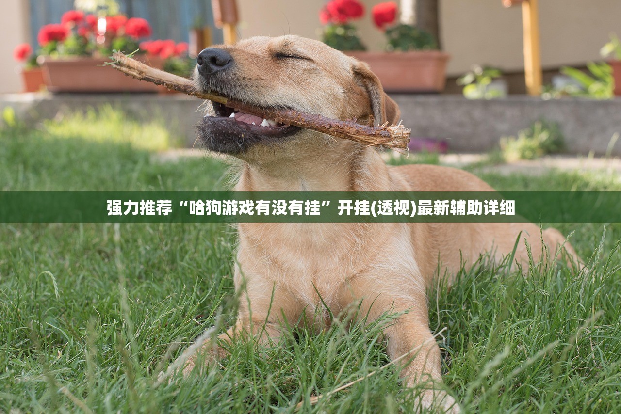 强力推荐“哈狗游戏有没有挂	”开挂(透视)最新辅助详细