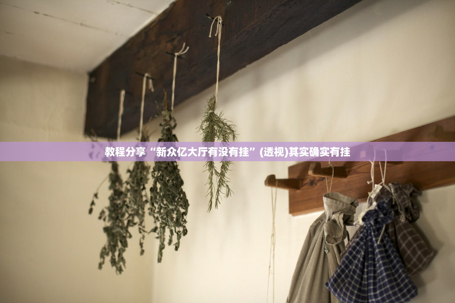 可用版本“姚记大联盟有挂吗”开挂(透视)辅助神器