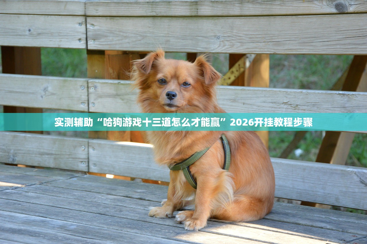 必备科技“全民玩跑得快怎么开挂”详细分享装挂步骤