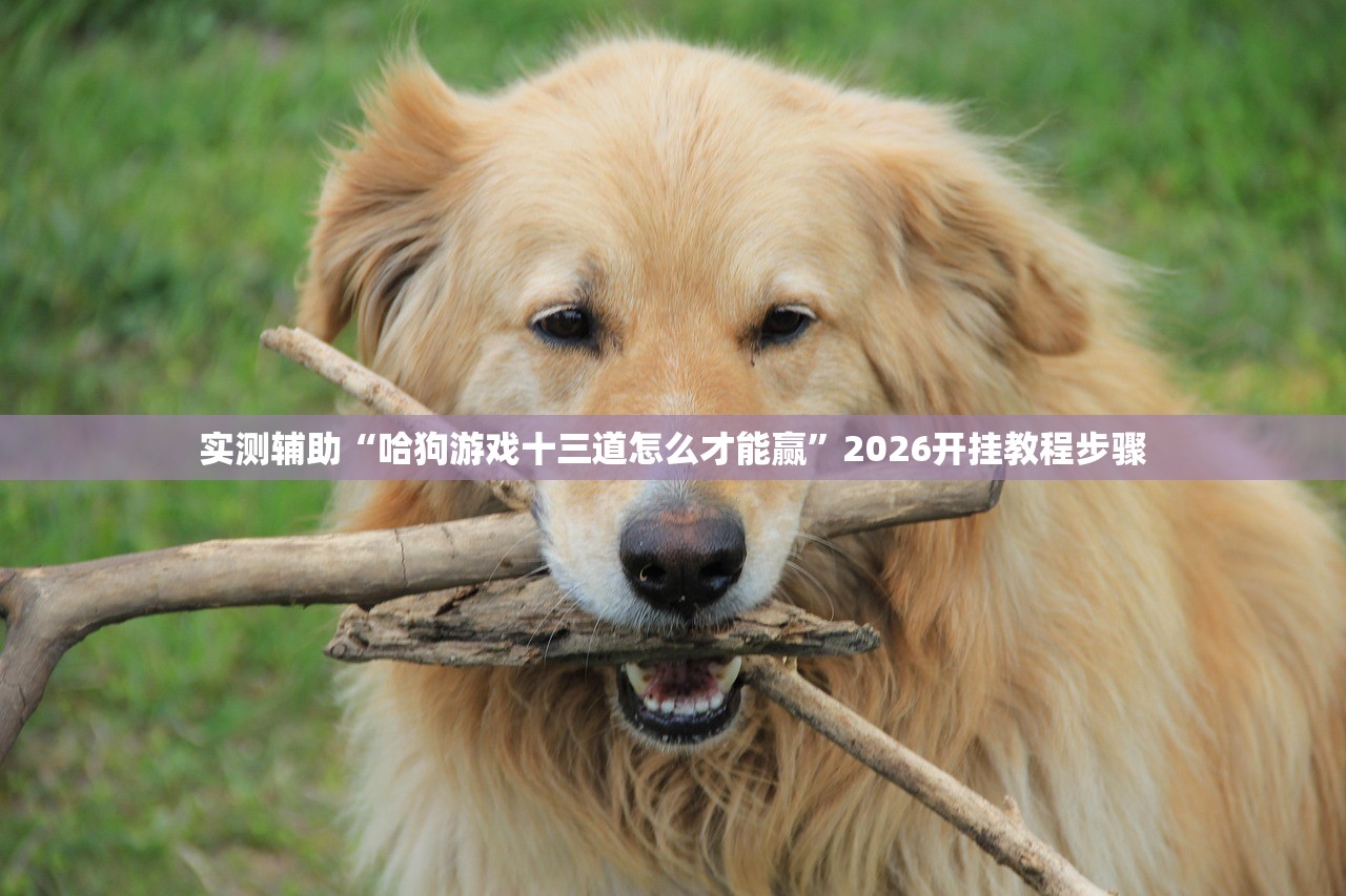 实测辅助“哈狗游戏十三道怎么才能赢”2026开挂教程步骤
