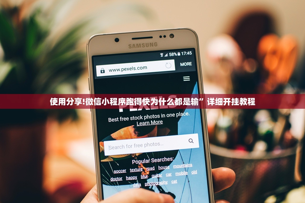 使用分享!微信小程序跑得快为什么都是输”详细开挂教程