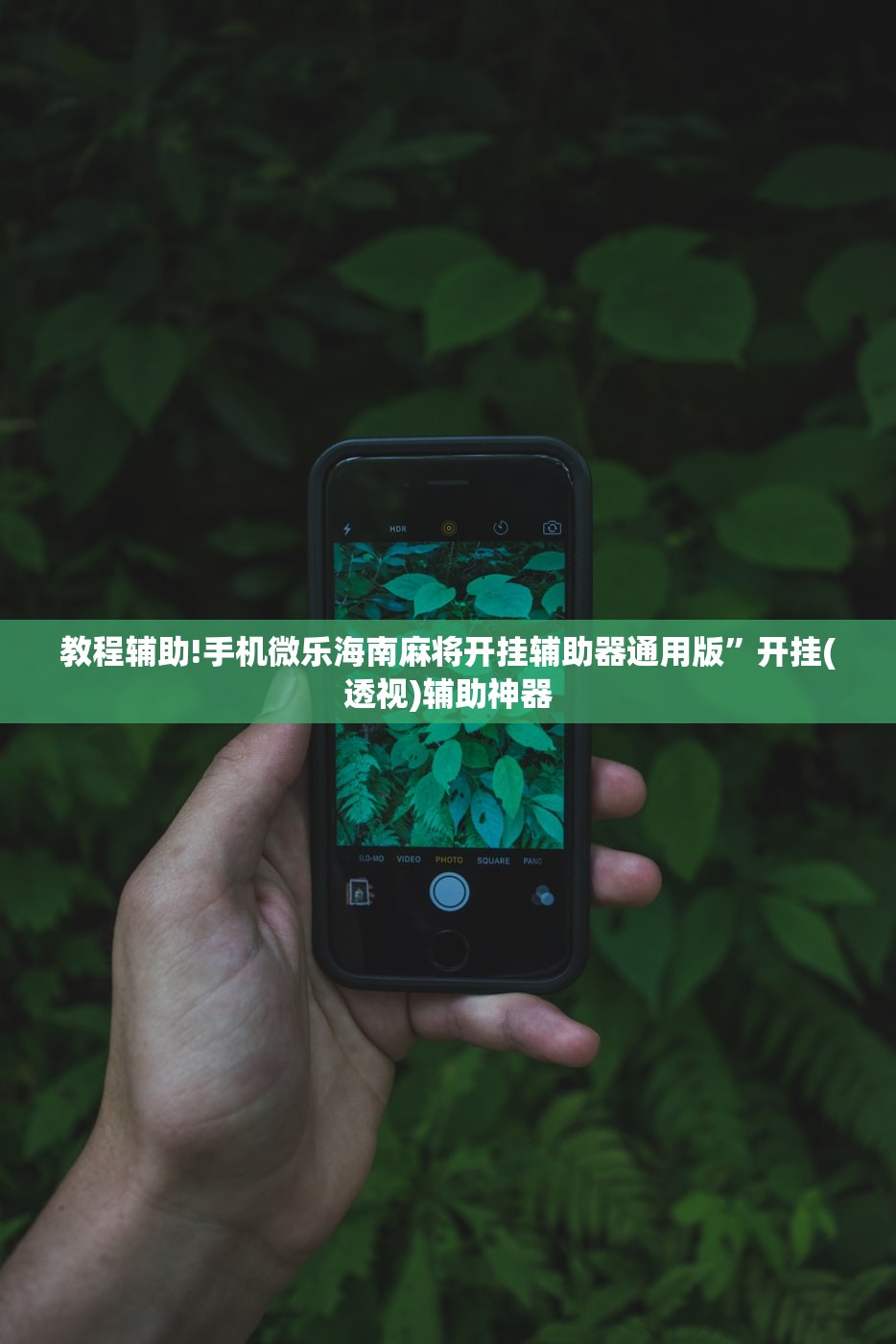 教程辅助!手机微乐海南麻将开挂辅助器通用版”开挂(透视)辅助神器