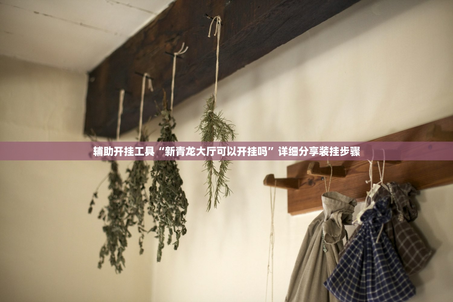 辅助开挂工具“新青龙大厅可以开挂吗”详细分享装挂步骤