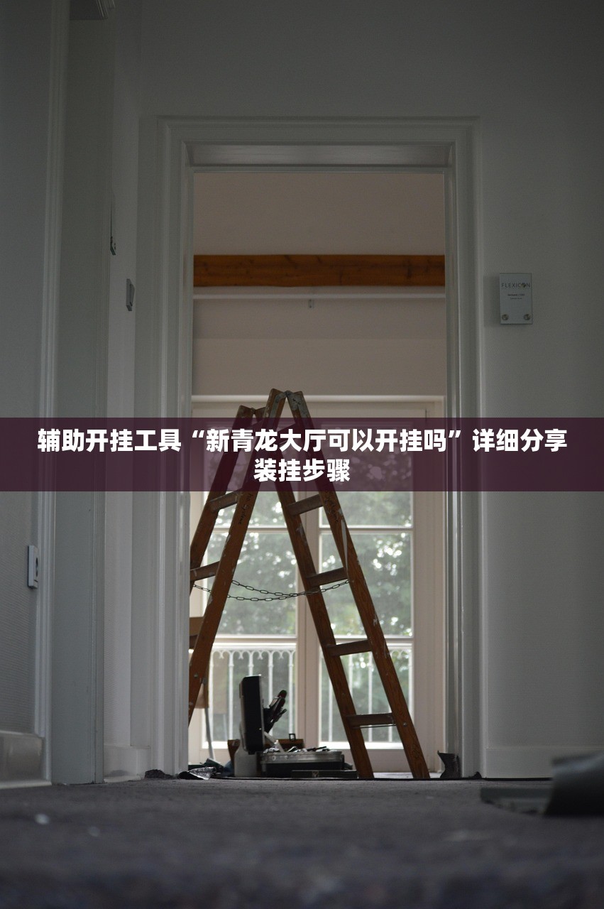 辅助开挂工具“新青龙大厅可以开挂吗”详细分享装挂步骤