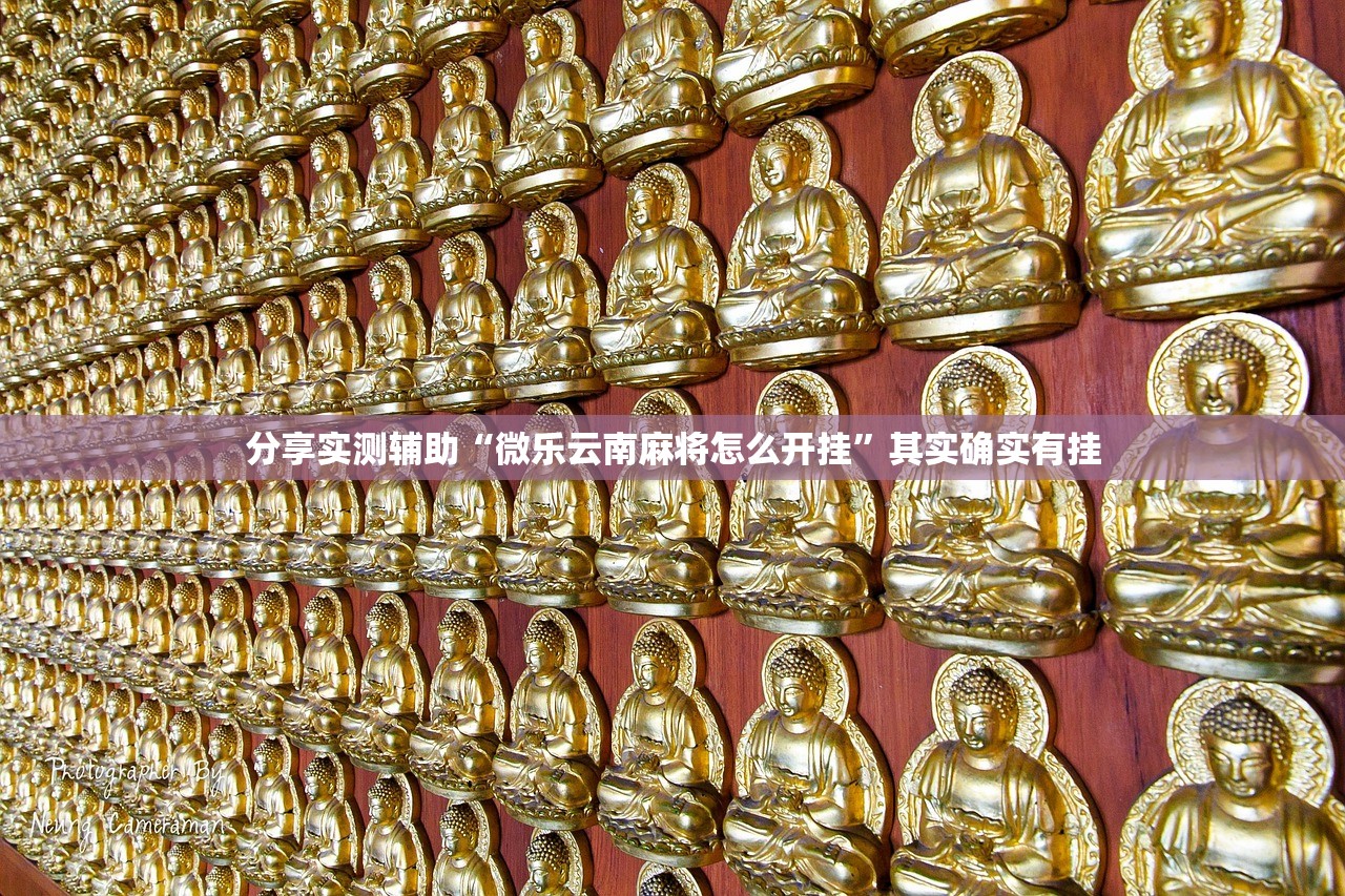 分享实测辅助“微乐云南麻将怎么开挂”其实确实有挂