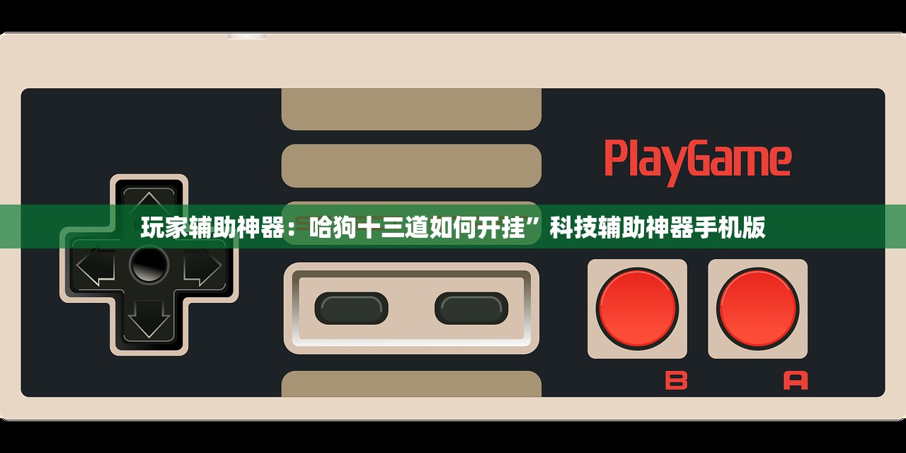玩家辅助神器：哈狗十三道如何开挂”科技辅助神器手机版