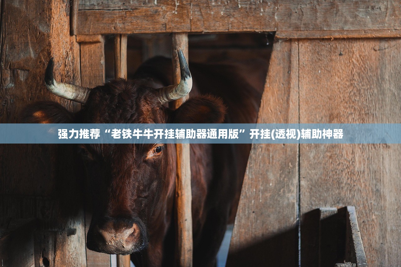 推荐一款“微乐跑得快怎么开挂”(透视)其实确实有挂