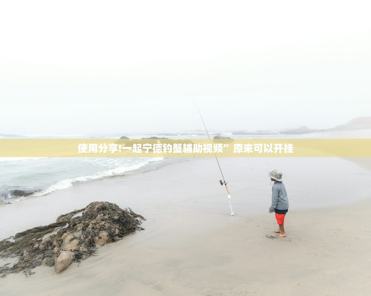 分享实测辅助“八闽十三张万能开挂神器(透视)”开挂辅助脚本+详细开挂安装教程