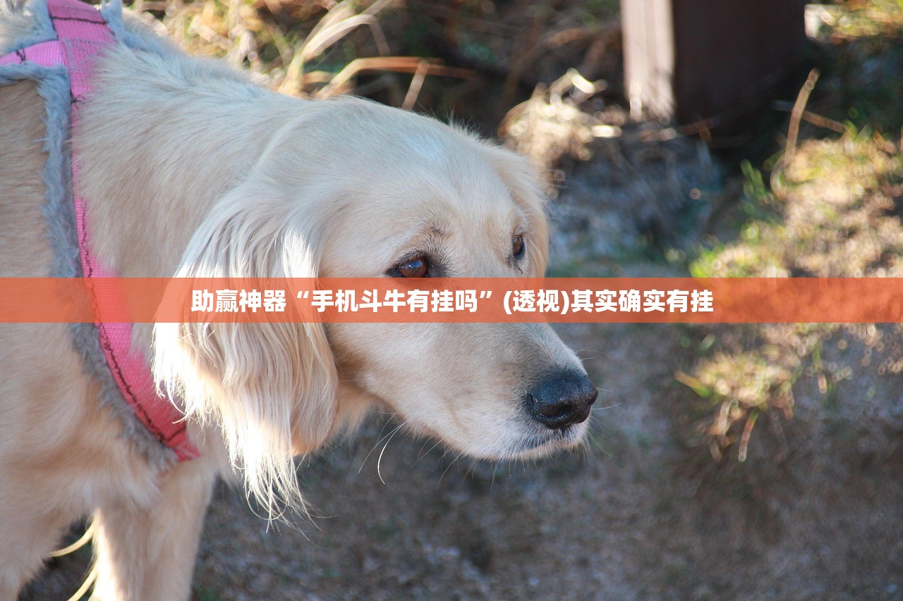 【北京24小时内新增40例本土感染者/北京24日确诊】