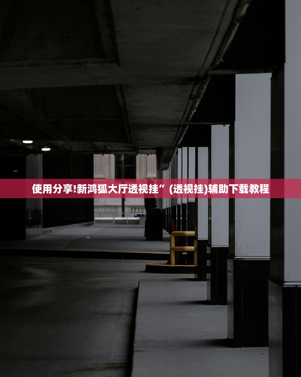 使用分享!新鸿狐大厅透视挂”(透视挂)辅助下载教程