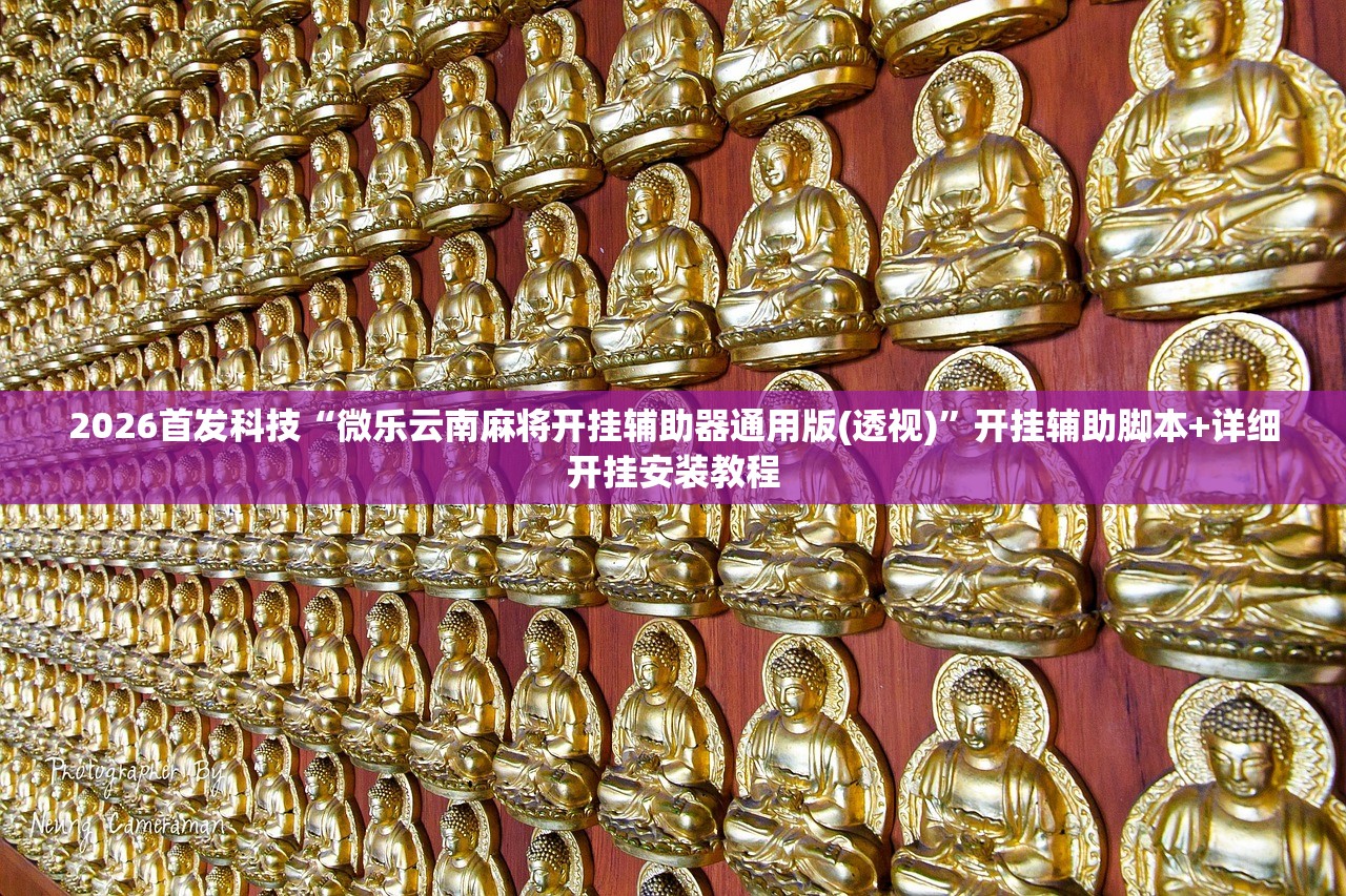 2026首发科技“微乐云南麻将开挂辅助器通用版(透视)”开挂辅助脚本+详细开挂安装教程