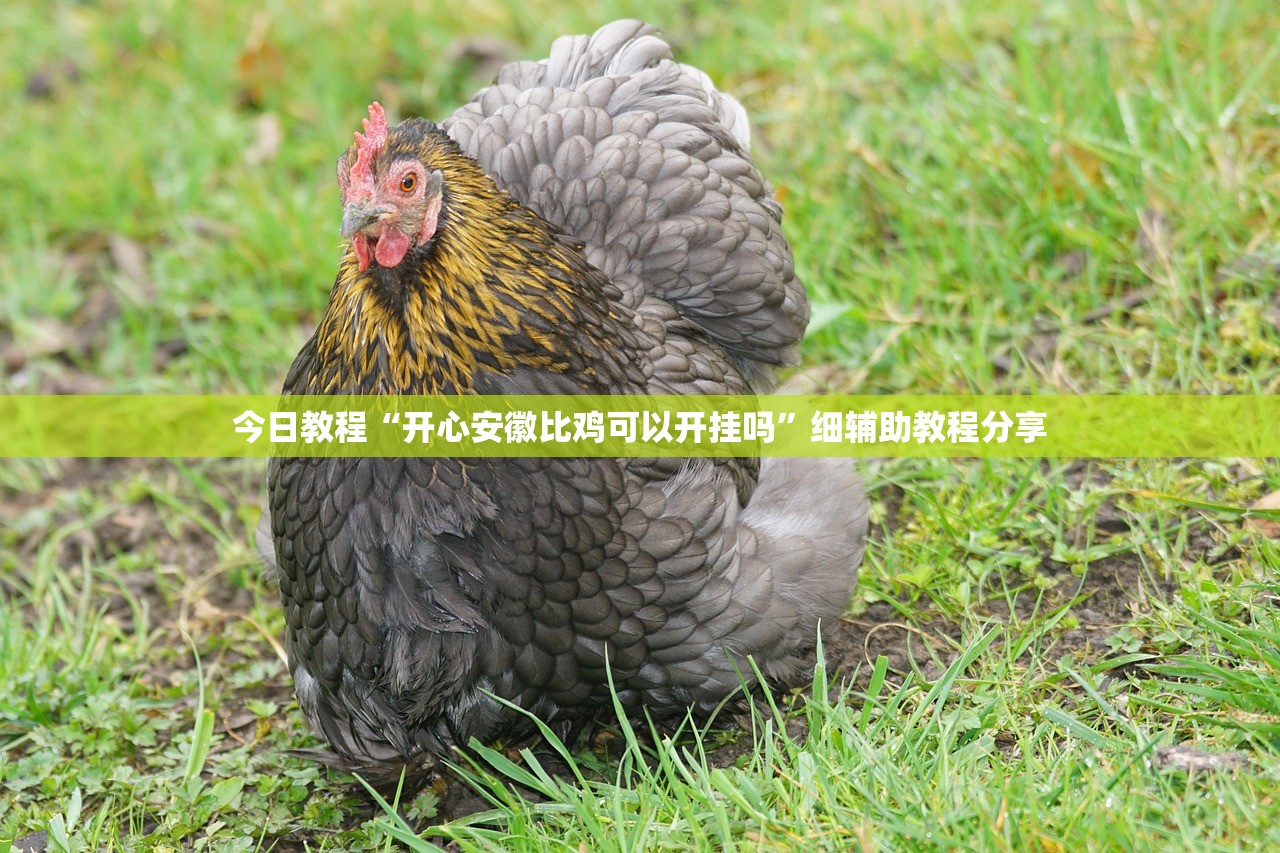 【成都限行时间新规2020年12月/成都限行时间新规2020年4月】