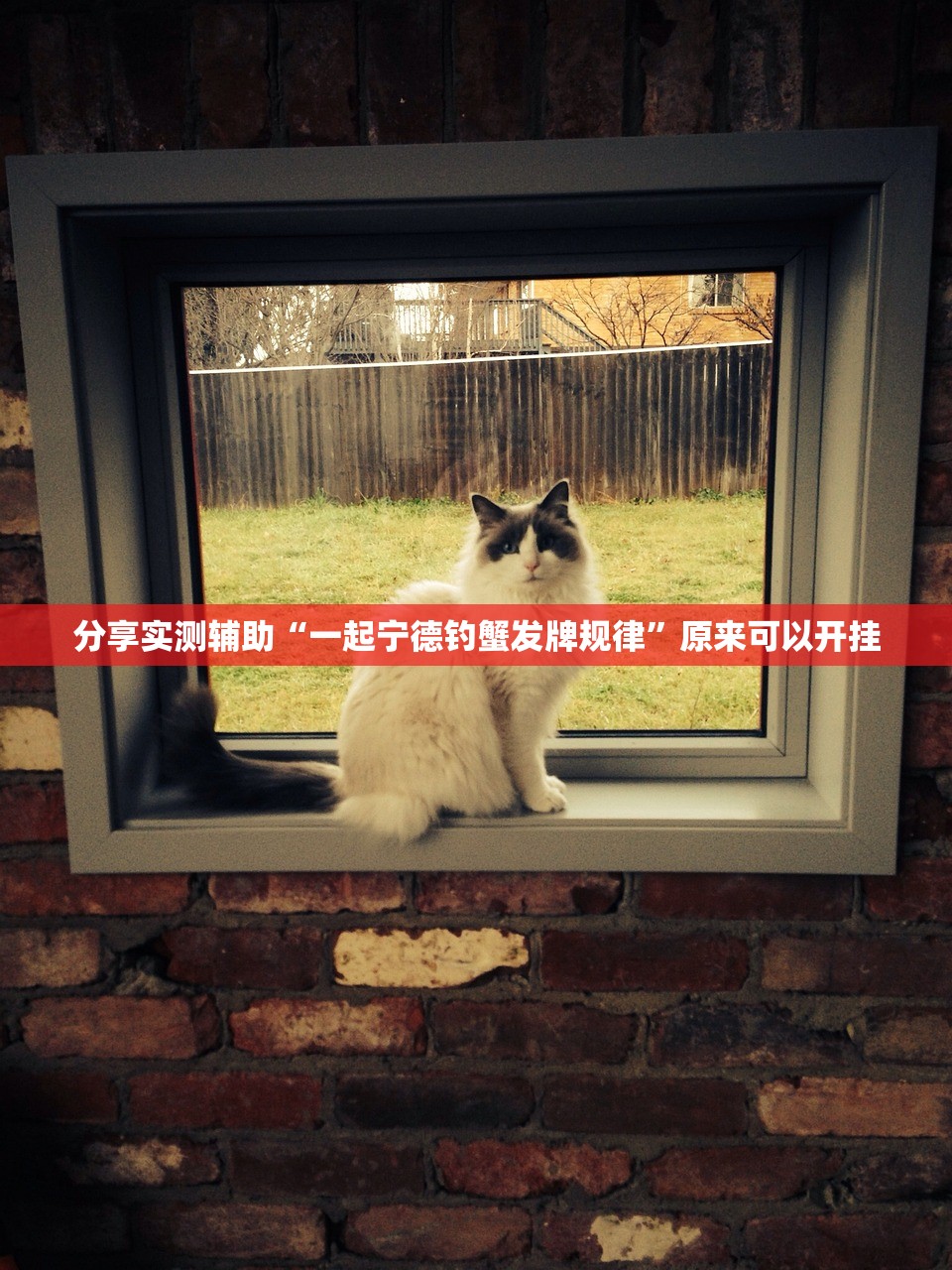 实测神器辅助“趣游麻将开挂免费软件下载安装”开挂(透视)最新辅助详细