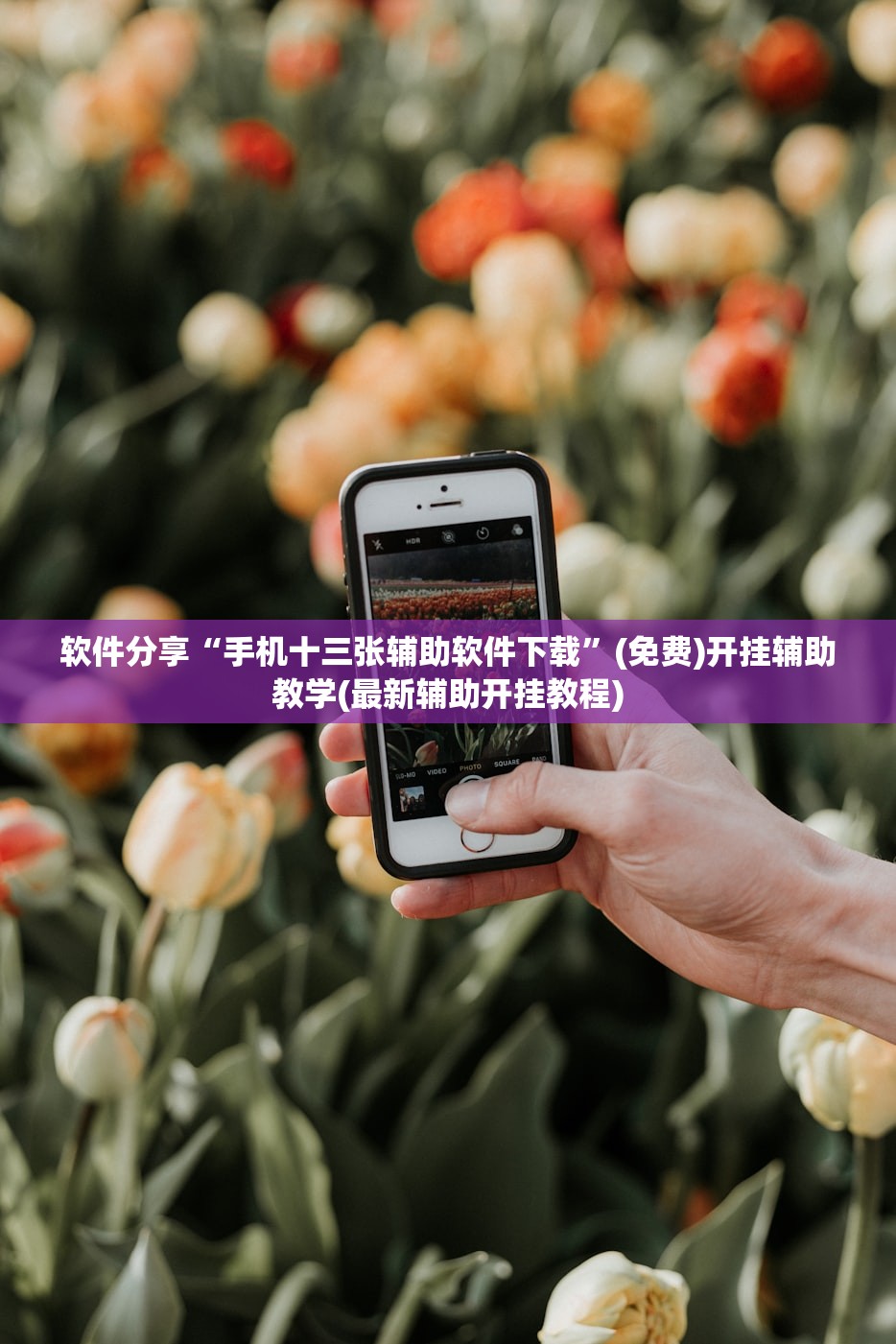 软件分享“手机十三张辅助软件下载	”(免费)开挂辅助教学(最新辅助开挂教程)