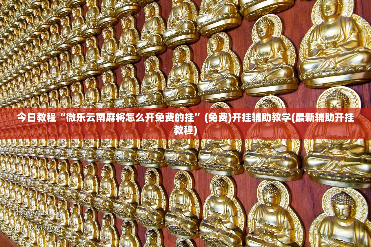 今日教程“微乐云南麻将怎么开免费的挂”(免费)开挂辅助教学(最新辅助开挂教程)