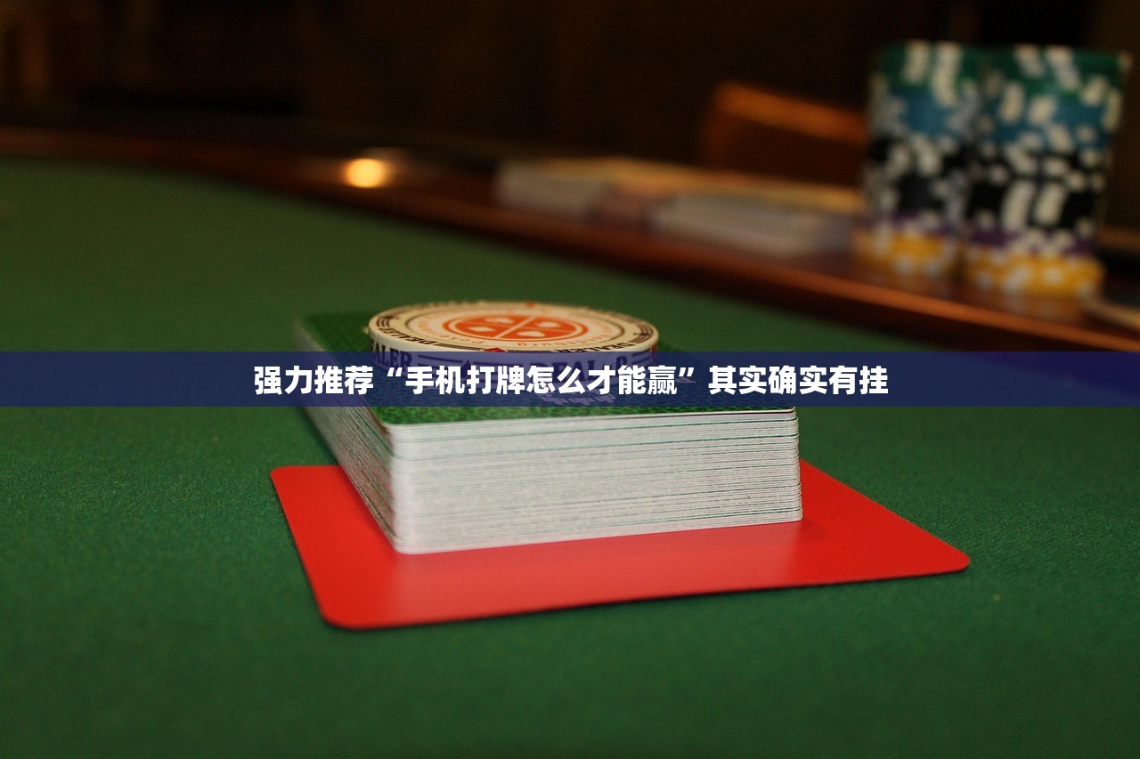 可用版本“福建大玩家辅助器”详细外挂透视辅助软件教程