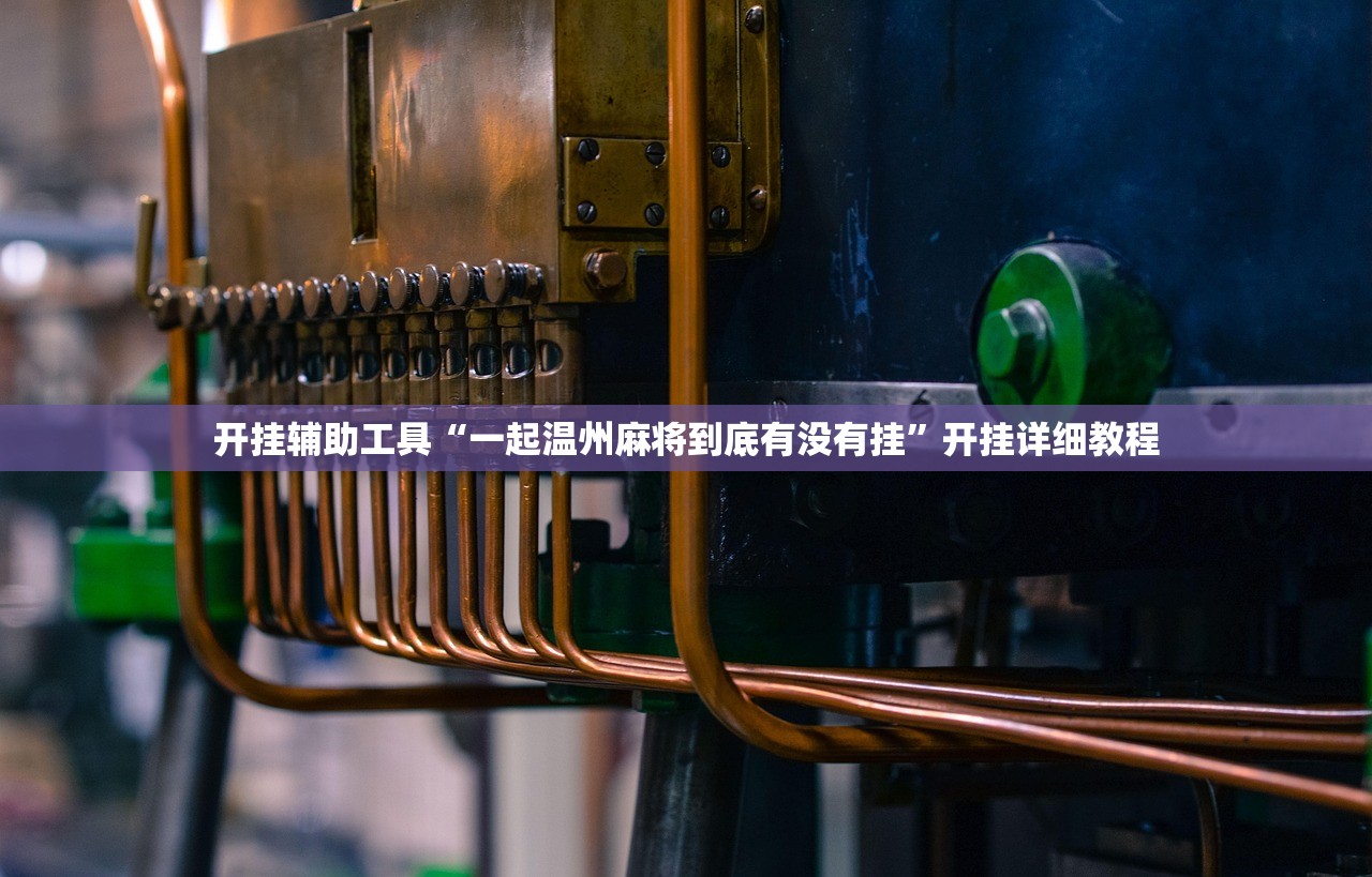 开挂辅助工具“一起温州麻将到底有没有挂	”开挂详细教程