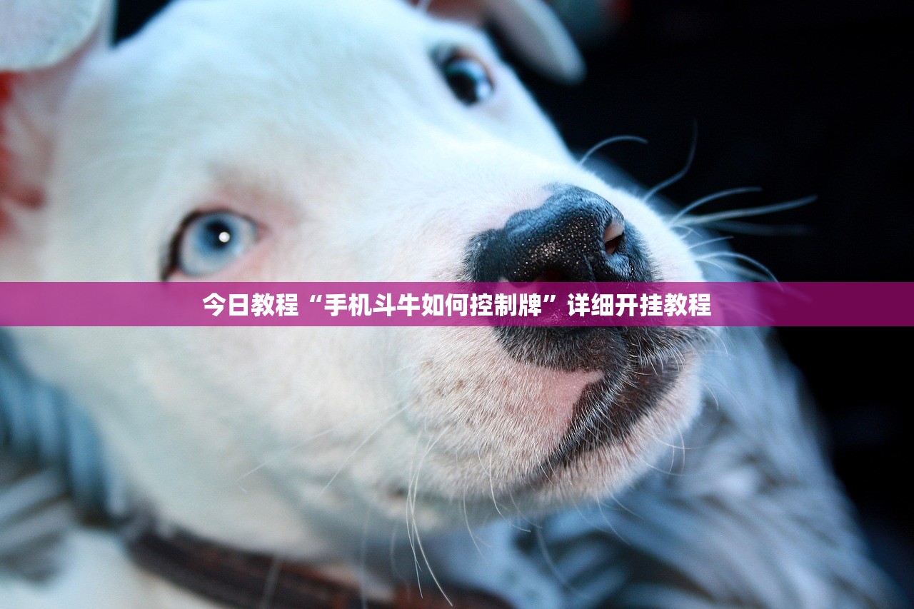 开挂技巧“小甘麻将外卦”开挂(透视)最新辅助详细
