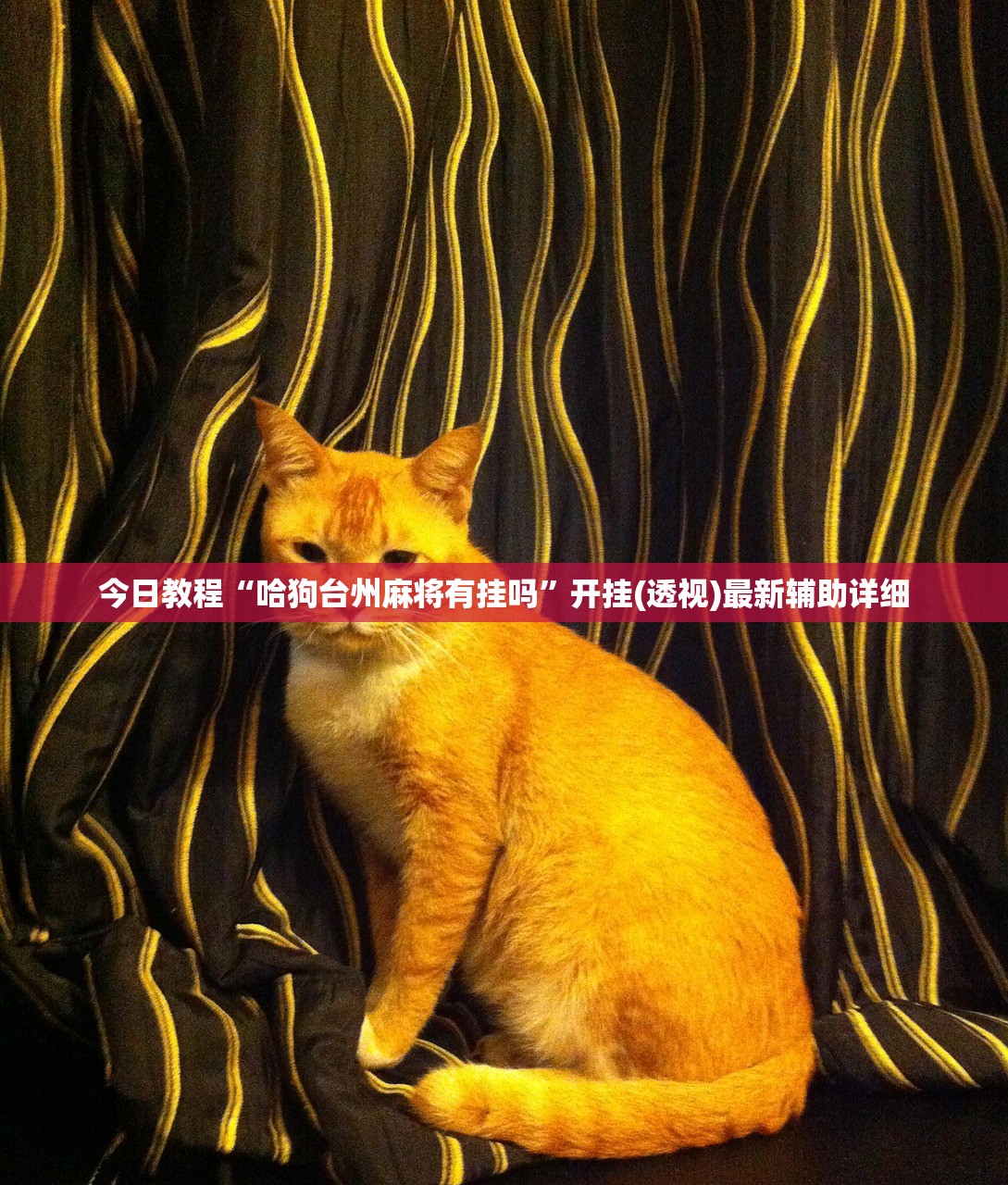 可用版本“卡贝大厅挂透视下载”(辅助神器)开挂详细教程