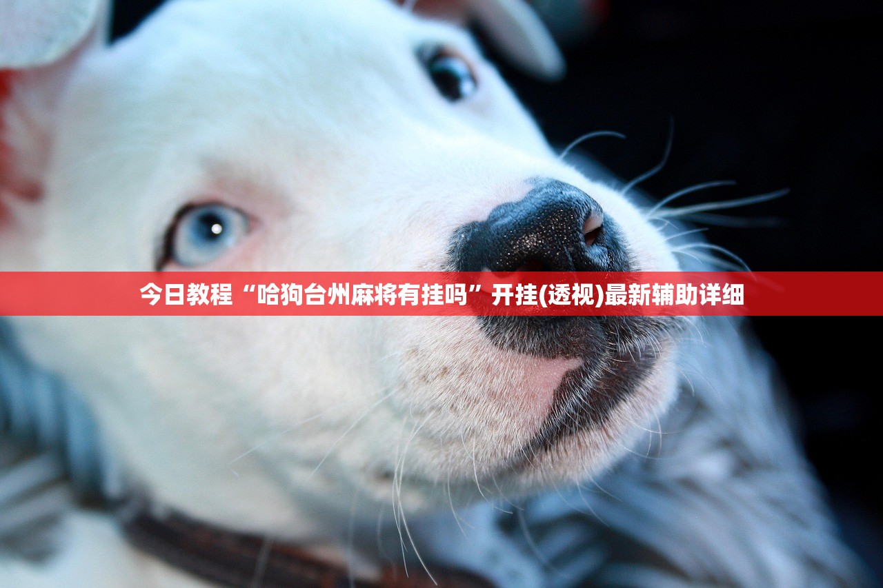 今日教程“哈狗台州麻将有挂吗”开挂(透视)最新辅助详细