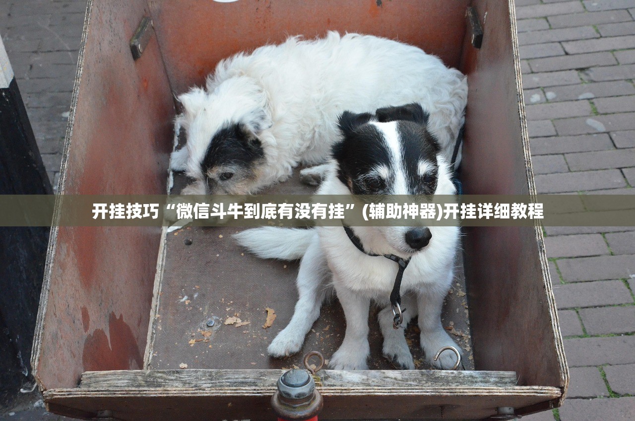 成都中风险地区升至6个:成都的中风险