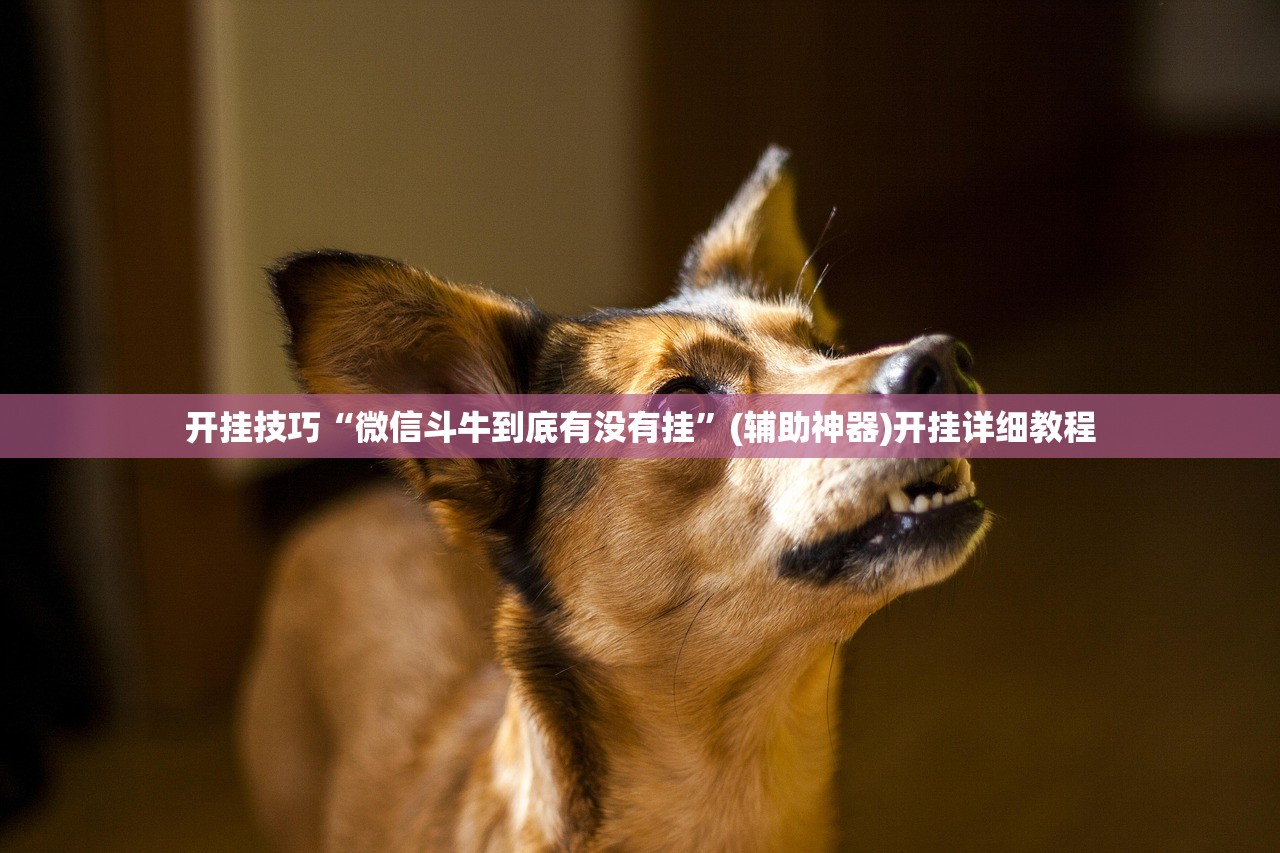 开挂技巧“微信斗牛到底有没有挂”(辅助神器)开挂详细教程