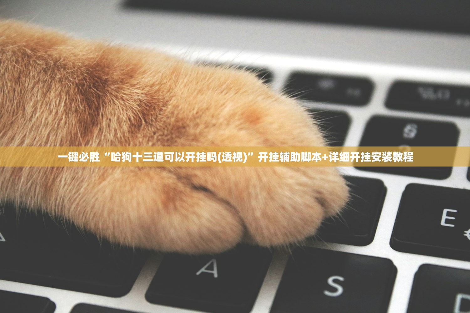 大连庄河疫情最新消息:大连庄河最新疫情通报