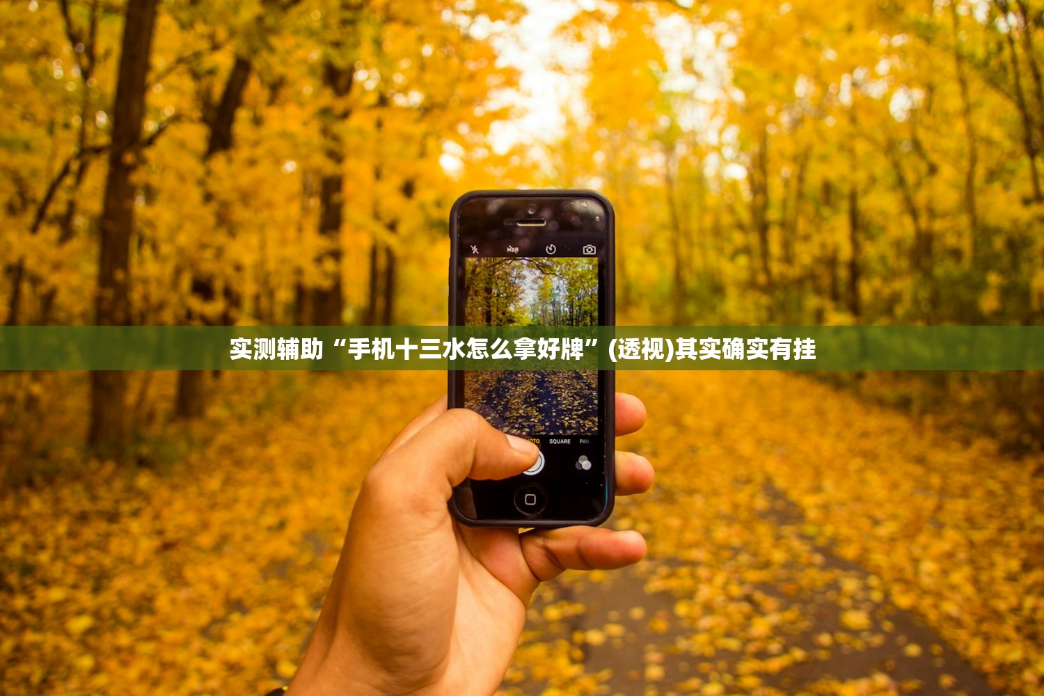 实测辅助“手机十三水怎么拿好牌”(透视)其实确实有挂