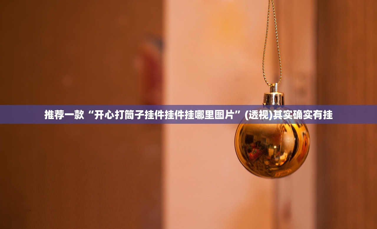 推荐一款“开心打筒子挂件挂件挂哪里图片”(透视)其实确实有挂
